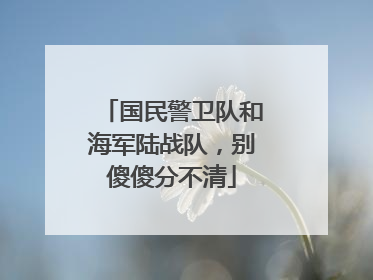 国民警卫队和海军陆战队，别傻傻分不清