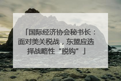 国际经济协会秘书长：面对美关税战，东盟应选择战略性“脱钩”