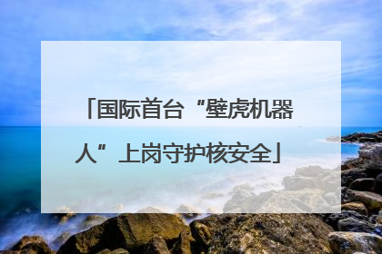 国际首台“壁虎机器人”上岗守护核安全