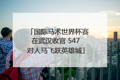 国际马术世界杯赛在武汉收官 547对人马飞跃英雄城
