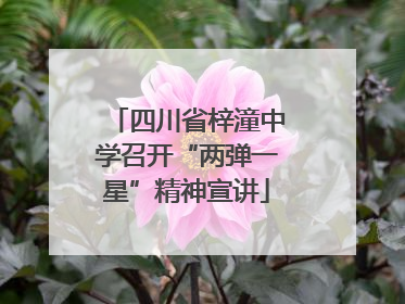四川省梓潼中学召开“两弹一星”精神宣讲