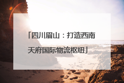四川眉山：打造西南天府国际物流枢纽