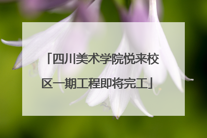四川美术学院悦来校区一期工程即将完工