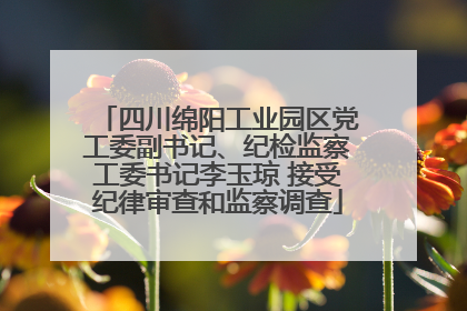 四川绵阳工业园区党工委副书记、纪检监察工委书记李玉琼 接受纪律审查和监察调查