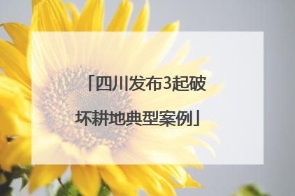 四川发布3起破坏耕地典型案例