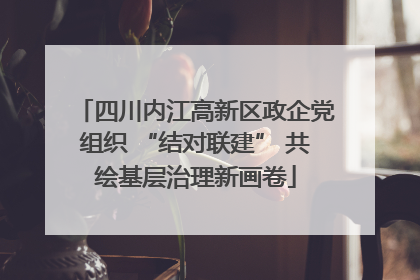 四川内江高新区政企党组织 “结对联建” 共绘基层治理新画卷