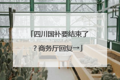 四川国补要结束了？商务厅回复→