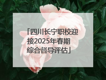 四川长宁职校迎接2025年春期综合督导评估