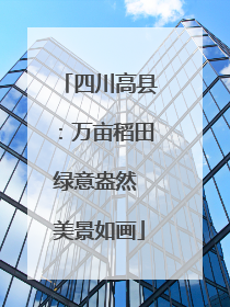 四川高县：万亩稻田绿意盎然 美景如画