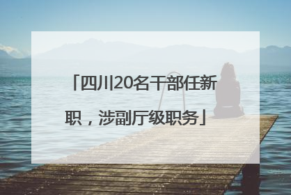 四川20名干部任新职，涉副厅级职务