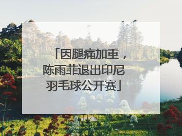 因腿痛加重，陈雨菲退出印尼羽毛球公开赛