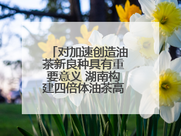 对加速创造油茶新良种具有重要意义 湖南构建四倍体油茶高精度基因图谱