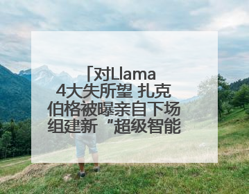对Llama 4大失所望 扎克伯格被曝亲自下场组建新“超级智能”团队