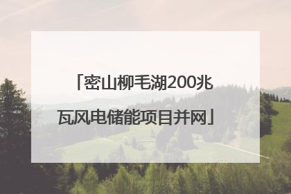 密山柳毛湖200兆瓦风电储能项目并网