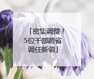 密集调整！5位干部跨省调任新疆