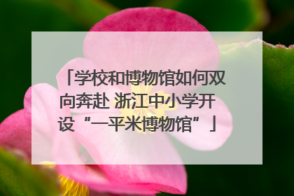学校和博物馆如何双向奔赴 浙江中小学开设“一平米博物馆”