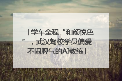 学车全程“和颜悦色”，武汉驾校学员偏爱不闹脾气的AI教练