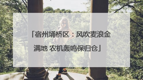 宿州埇桥区：风吹麦浪金满地 农机轰鸣保归仓