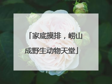 家底摸排，崂山成野生动物天堂