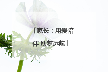家长：用爱陪伴 助梦远航