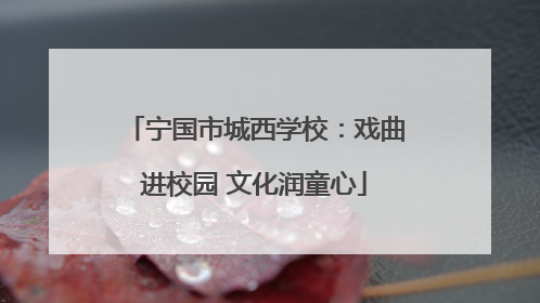宁国市城西学校：戏曲进校园 文化润童心