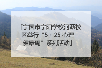 宁国市宁阳学校河沥校区举行“5・25 心理健康周”系列活动