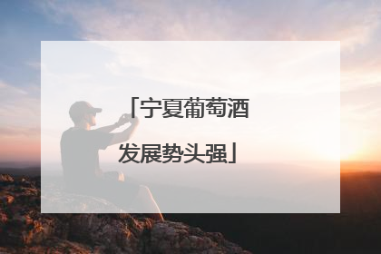 宁夏葡萄酒发展势头强