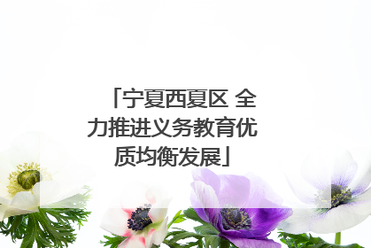 宁夏西夏区 全力推进义务教育优质均衡发展