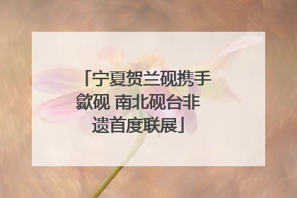 宁夏贺兰砚携手歙砚 南北砚台非遗首度联展