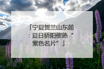 宁夏贺兰山东麓：夏日骄阳催熟“紫色名片”