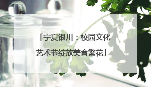 宁夏银川：校园文化艺术节绽放美育繁花