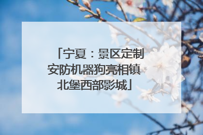 宁夏：景区定制安防机器狗亮相镇北堡西部影城