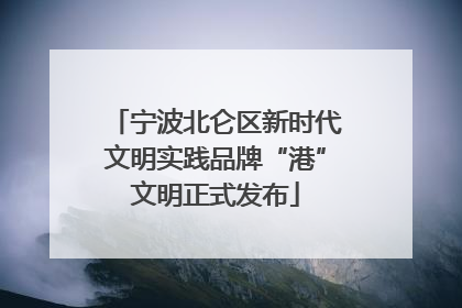 宁波北仑区新时代文明实践品牌“港”文明正式发布