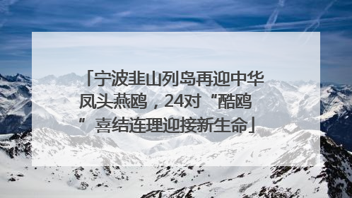 宁波韭山列岛再迎中华凤头燕鸥，24对“酷鸥”喜结连理迎接新生命