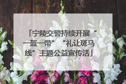 宁陵交警持续开展“一盔一带”“礼让斑马线”主题公益宣传活
