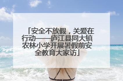 安全不放假，关爱在行动——庐江县同大镇农林小学开展暑假前安全教育大家访