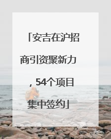 安吉在沪招商引资聚新力，54个项目集中签约