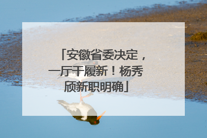 安徽省委决定，一厅干履新！杨秀颀新职明确