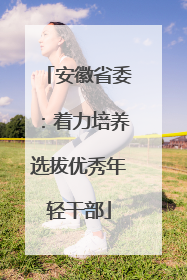 安徽省委：着力培养选拔优秀年轻干部