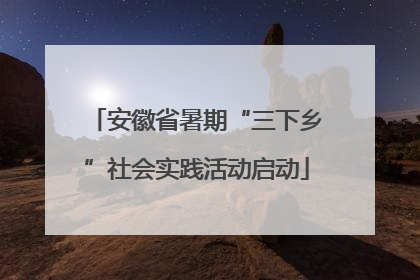 安徽省暑期“三下乡”社会实践活动启动