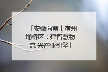 安徽向前丨宿州埇桥区：建智慧物流 兴产业引擎