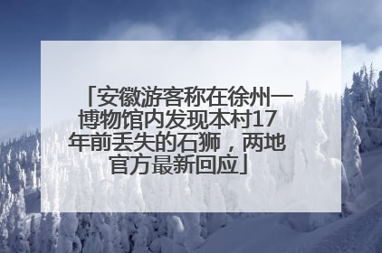 安徽游客称在徐州一博物馆内发现本村17年前丢失的石狮，两地官方最新回应