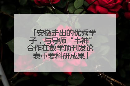 安徽走出的优秀学子，与导师“韦神”合作在数学顶刊发论表重要科研成果