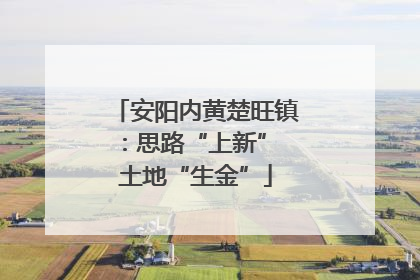 安阳内黄楚旺镇：思路“上新” 土地“生金”