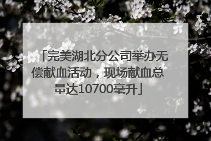 完美湖北分公司举办无偿献血活动，现场献血总量达10700毫升