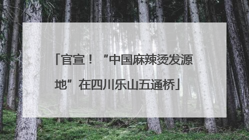 官宣！“中国麻辣烫发源地”在四川乐山五通桥