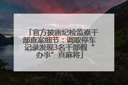 官方披露纪检监察干部查案细节：调取停车记录发现3名干部假“办事”真麻将