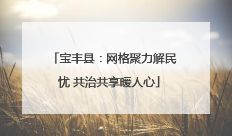 宝丰县：网格聚力解民忧 共治共享暖人心