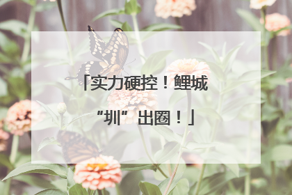 实力硬控！鲤城“圳”出圈！
