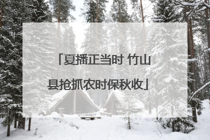 夏播正当时 竹山县抢抓农时保秋收